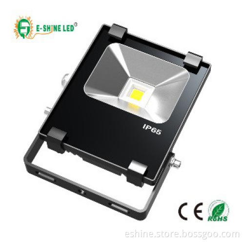 50W LED Flood Light with Fashion Designer